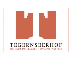 tegern logo